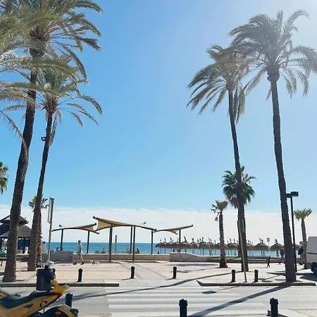 Palm Parking Piscina Andra